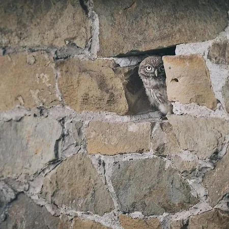 A L'entree Du Verger - Charmante Maison En Pierres Dinant