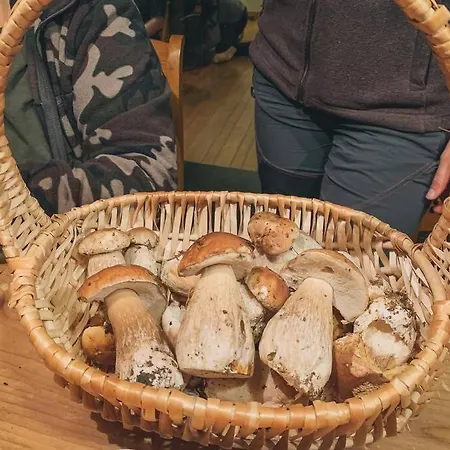 A L'entree Du Verger - Charmante Maison En Pierres *