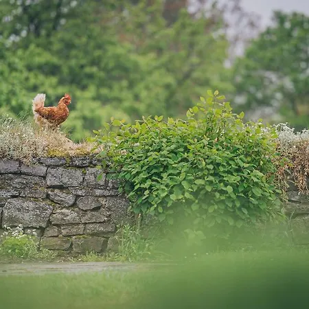 A L'entrée Du Verger - Charmante Maison En Pierres Casa vacanze Dinant