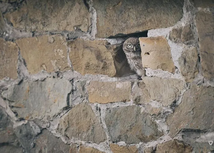 A L'entrée Du Verger - Charmante Maison En Pierres Dinant