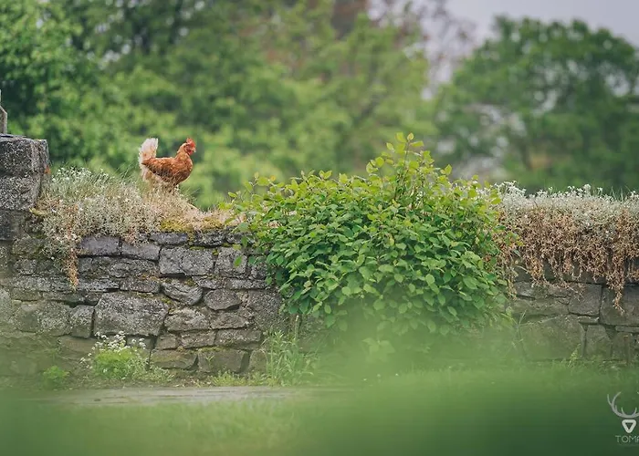A L'entree Du Verger - Charmante Maison En Pierres Ferienhaus Dinant